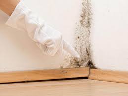 Best Mold Documentation for Insurance Claims  in West Point, GA